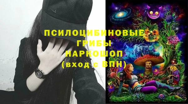 молекула духа Алексин