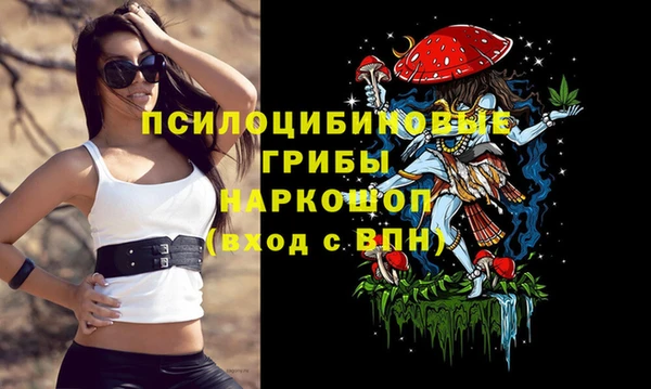 молекула духа Алексин