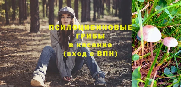 молекула духа Алексин