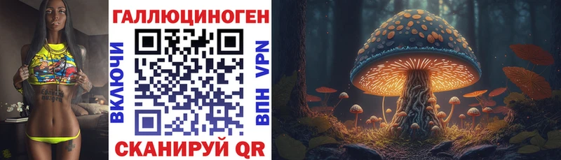 Псилоцибиновые грибы Psilocybine cubensis  Амурск 